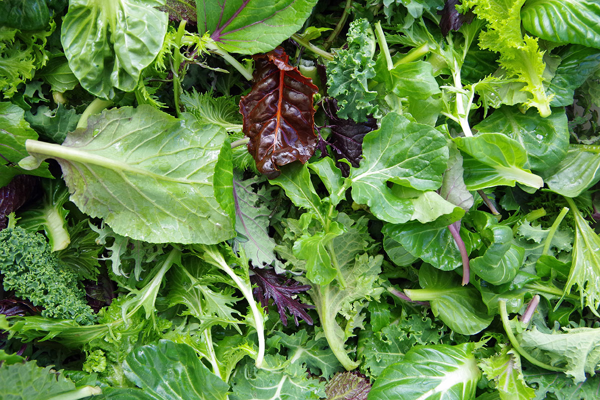 Butterhead Salad Company Is a MustVisit in Beacon