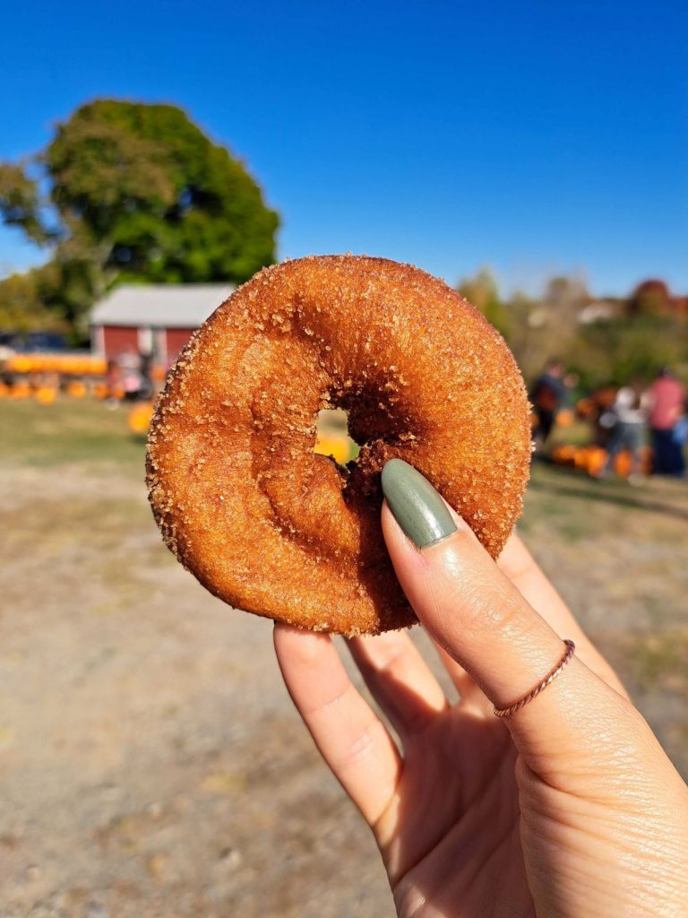 Weed Orchard cider donut