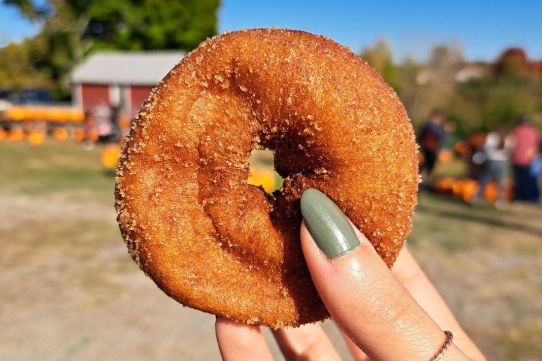Weed Orchard cider donut