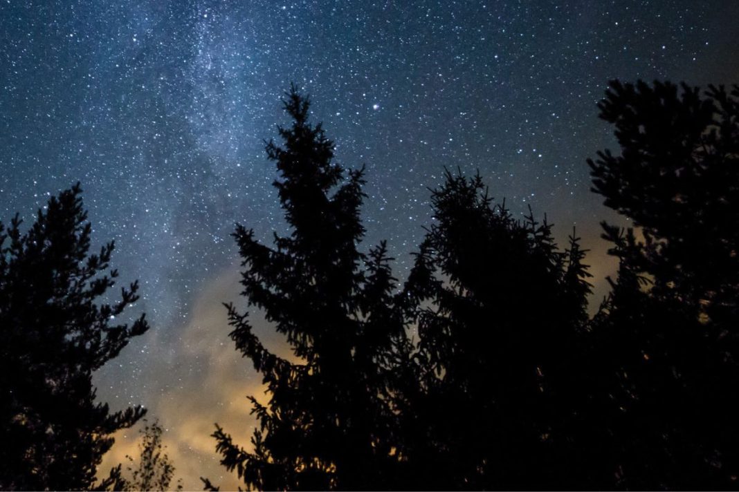 stars