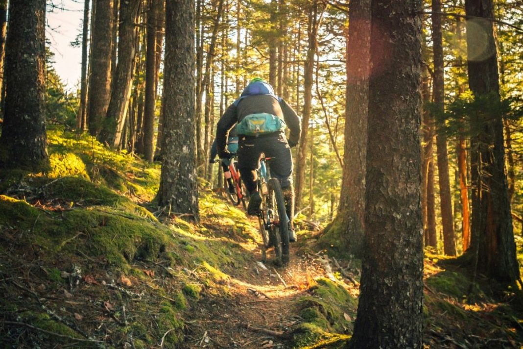 mountain bike trails