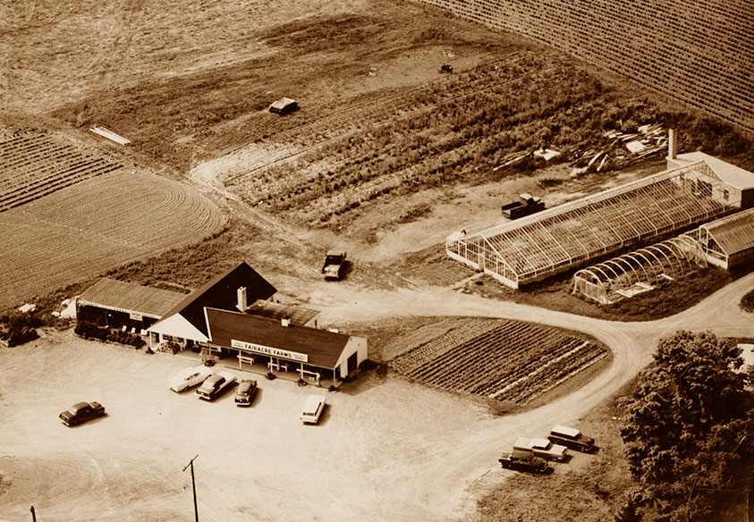 Adams Foraker Ranch A Century of Growth at Adams Fairacre Farms