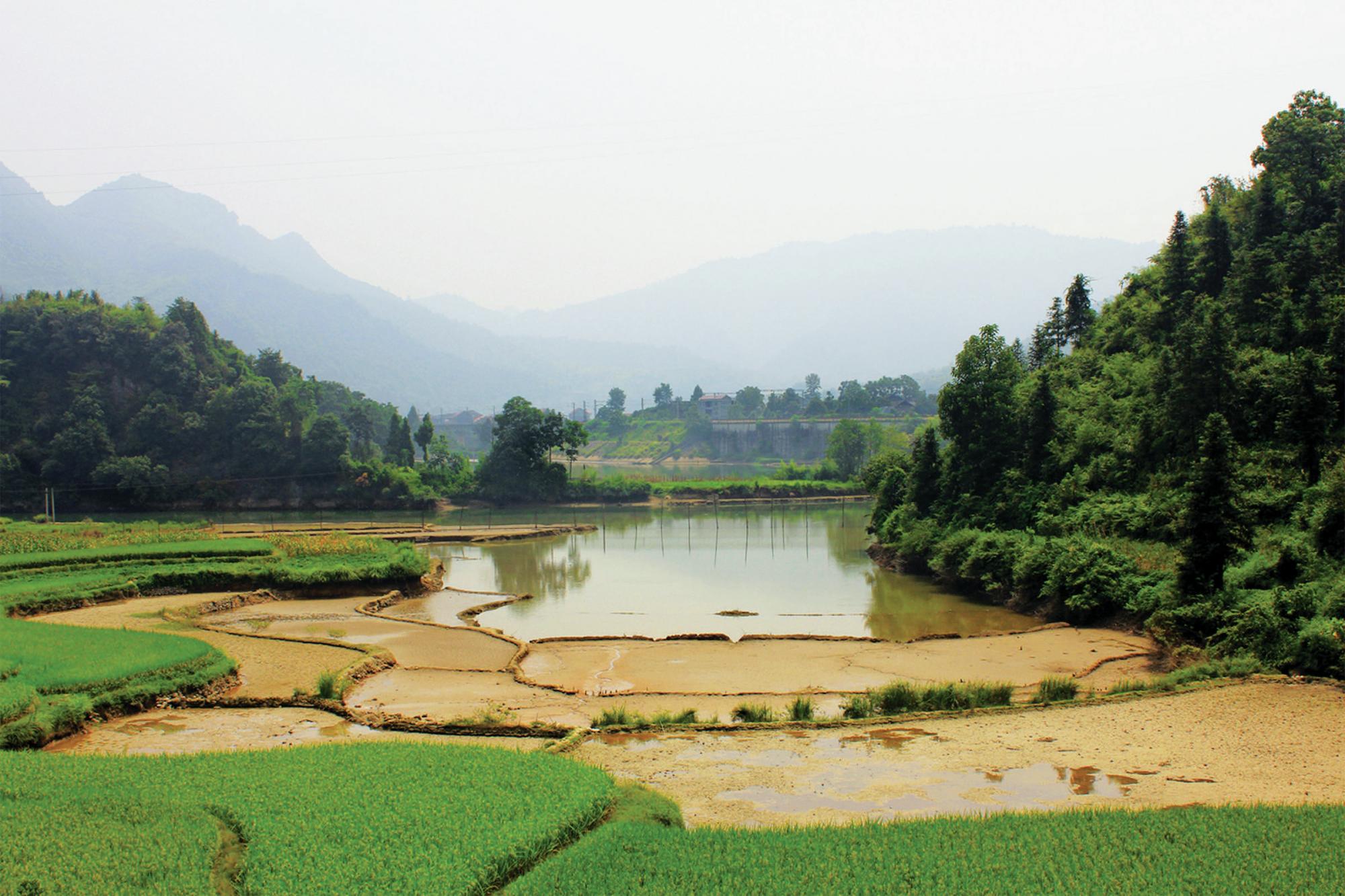Hunan Farm Local Flavors in Rural Hunan