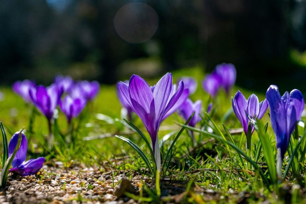 Spring Equinopx 5 Spring Equinox Events for Brighter Days in the Hudson Valley