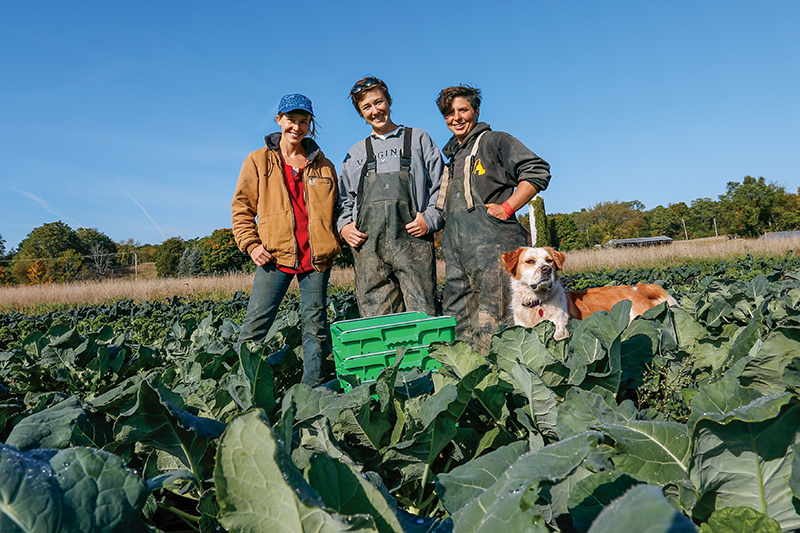 The Farmers