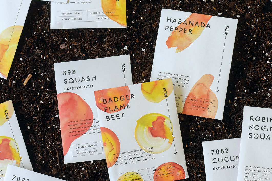Use These Hudson Valley Seeds to Grow Your Garden
